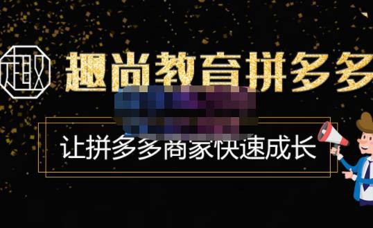 趣尚教育·拼多多运营实操VIP特训营，让拼多多商家快速成长-价值3180元-最全项目网