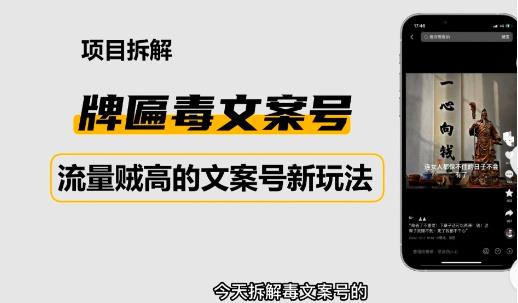 2023抖音快手毒文案新玩法，牌匾文案号，起号快易变现-最全项目网