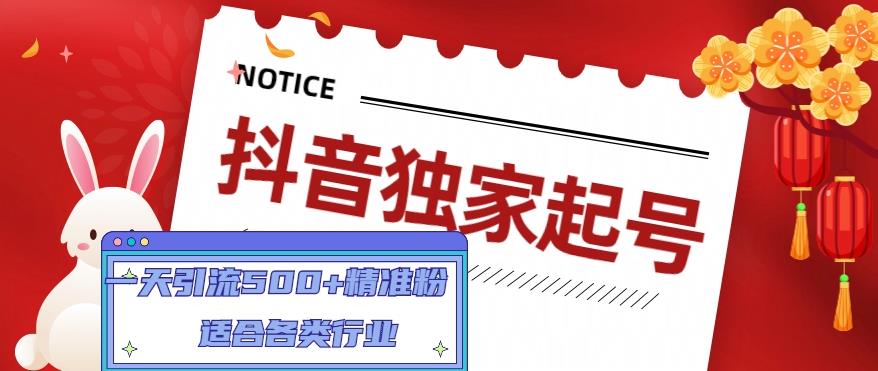 抖音独家起号，一天引流500+精准粉，适合各类行业（9节视频课）-最全项目网