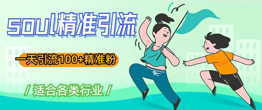 soul精准引流系列课程，一天引流100+精准粉，适合各类行业-最全项目网