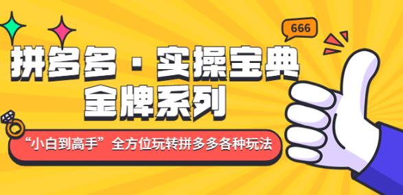 拼多多·实操宝典：金牌系列“小白到高手”带你全方位玩转拼多多各种玩法-最全项目网