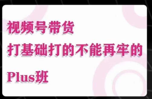 大播汇·视频号带货Puls班，视频号底层逻辑，起号自然流鱼塘等玩法-最全项目网