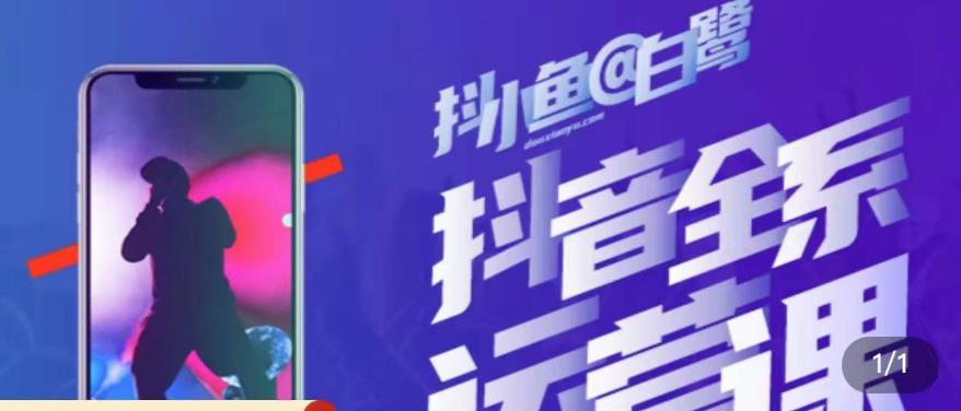 白鹭·主播内训营，运营主播话术起号进阶能力提升-最全项目网