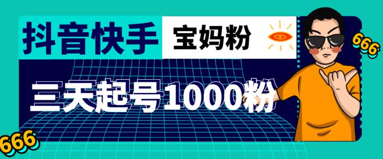 抖音快手三天起号涨粉1000宝妈粉丝的核心方法【详细玩法教程】-最全项目网