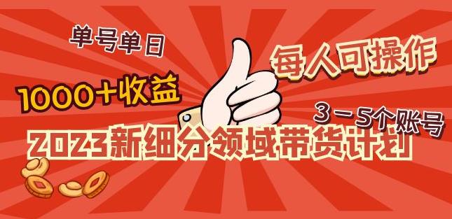 2023新细分领域带货计划：单号单日1000+收益不难，每人可操作3-5个账号-最全项目网