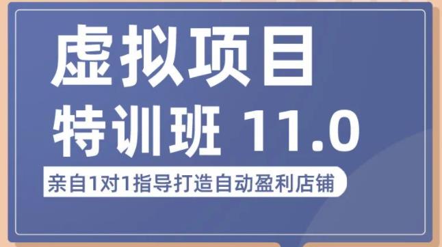陆明明·虚拟项目特训班（10.0+11.0），0成本获取虚拟素材，0基础打造自动盈利店铺-最全项目网