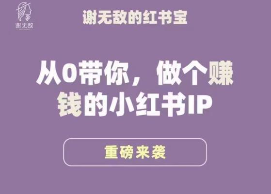 谢无敌·小红书运营大宝典，从0带你做个赚钱的小红书IP-最全项目网
