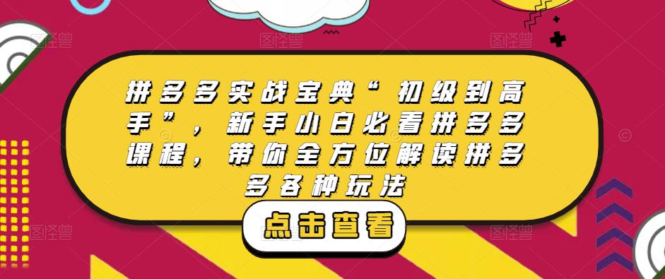 拼多多实战宝典“初级到高手”，新手小白必看拼多多课程，带你全方位解读拼多多各种玩法-最全项目网