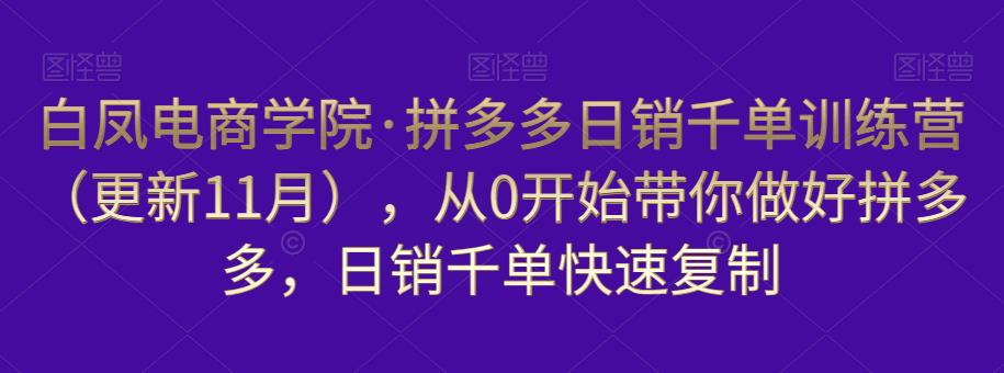 白凤电商学院·拼多多日销千单训练营，从0开始带你做好拼多多，日销千单快速复制（更新知2023年3月）-最全项目网