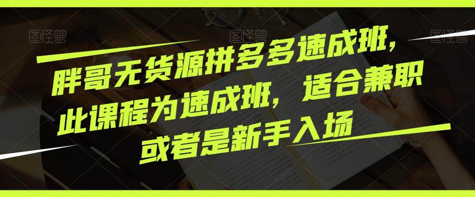 胖哥无货源拼多多速成班，此课程为速成班，适合兼职或者是新手入场-最全项目网