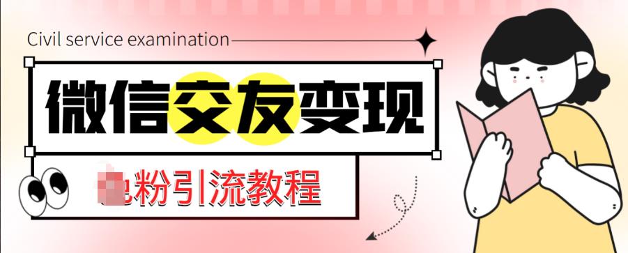微信交友变现项目，吸引全网LSP男粉精准变现，小白也能轻松上手，日入500+-最全项目网
