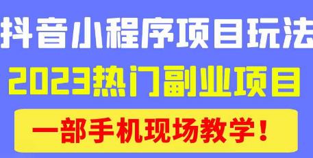 抖音小程序9.0新技巧，2023热门副业项目，动动手指轻松变现-最全项目网