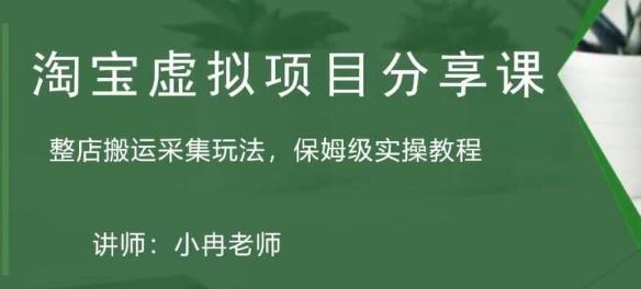 淘宝虚拟整店搬运采集玩法分享课：整店搬运采集玩法，保姆级实操教程-最全项目网