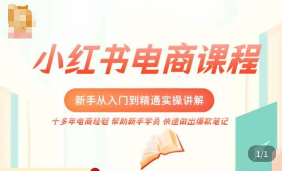 小红书电商新手入门到精通实操课，从入门到精通做爆款笔记，开店运营-最全项目网