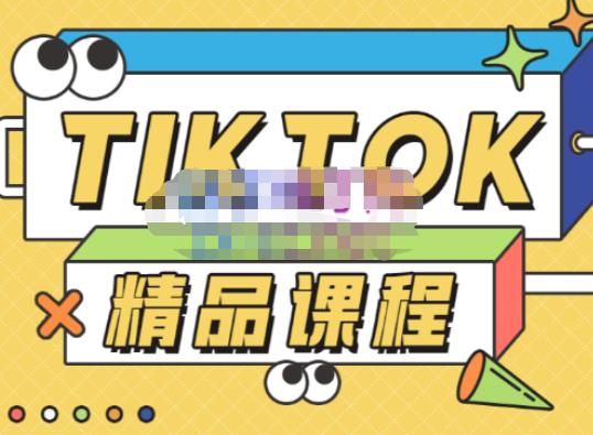 电商孵化中心·TikTok精品课程，教你玩转海外抖音，低成本创业，带您从0开始玩转TikTok-最全项目网
