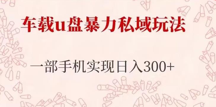 车载u盘暴力私域玩法，长期项目，仅需一部手机实现日入300+-最全项目网