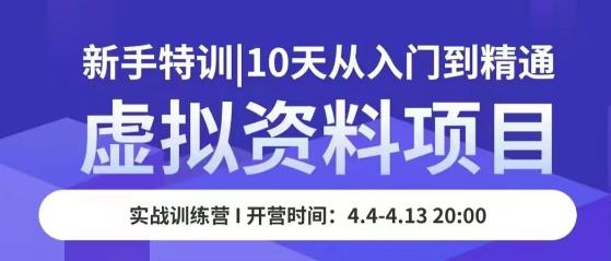 虚拟资料项目新手特训，10天从入门到精通，保姆级实操教学-最全项目网