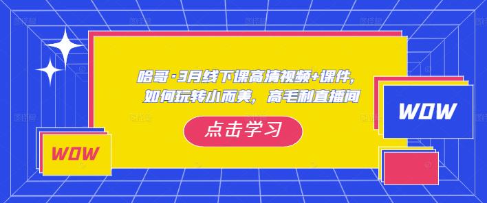 哈哥·3月线下实操课高清视频+课件，如何玩转小而美，高毛利直播间-最全项目网