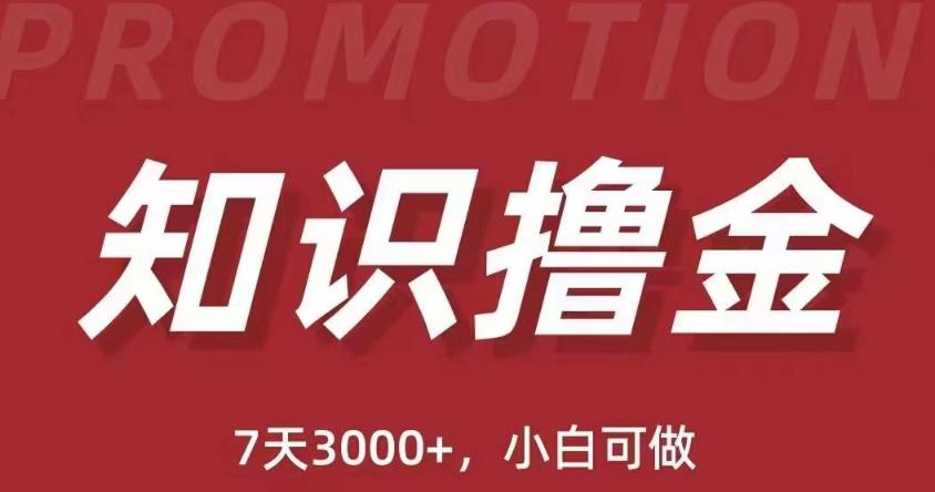 抖音知识撸金项目：简单粗暴日入1000+执行力强当天见收益(教程+资料)-最全项目网