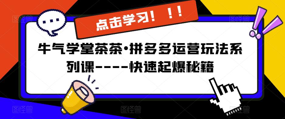 牛气学堂茶茶•拼多多运营玩法系列课—-快速起爆秘籍【更新】-最全项目网
