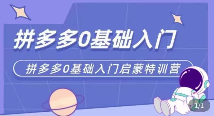 拼多多运营0-1实操特训营，拼多多0基础入门，从基础到进阶的可实操玩法-最全项目网
