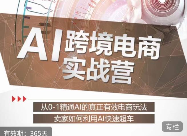 白龙老师·AI跨境电商实战营：从0-1精通Al的真正有效电商玩法，卖家如何利用Al快速超车-最全项目网