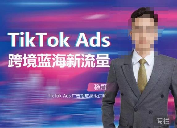 稳哥·如何投出高ROI的TikTok广告，开拓独立站卖家流量新蓝海-最全项目网