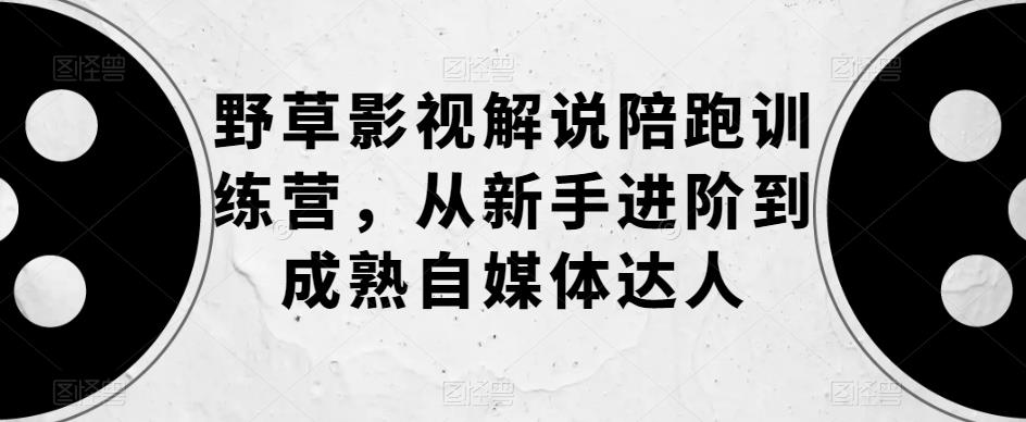 野草影视解说陪跑训练营，从新手进阶到成熟自媒体达人-最全项目网