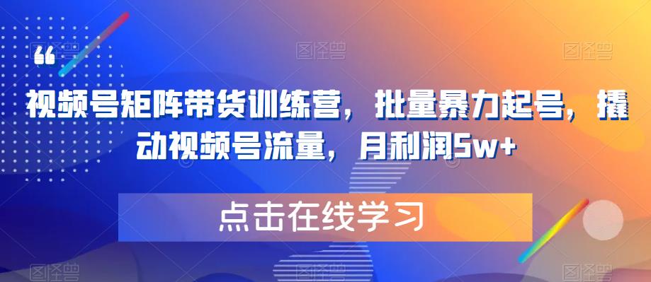视频号矩阵带货训练营，批量暴力起号，撬动视频号流量，月利润5w+-最全项目网