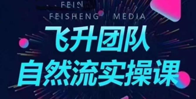 飞升团队课程自然流实操课，抖音半无人起号主播间搭建教学-最全项目网