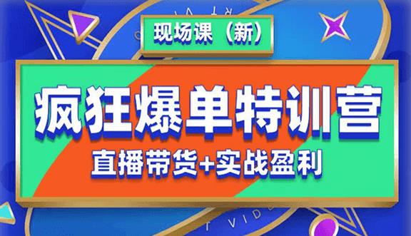 抖音短视频疯狂爆单特训营现场课（新）直播带货+实战案例-最全项目网