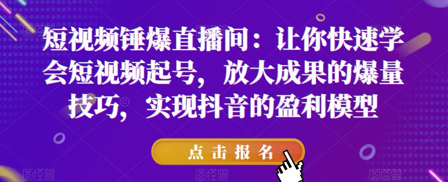 短视频锤爆直播间：让你快速学会短视频起号，放大成果的爆量技巧，实现抖音的盈利模型-最全项目网