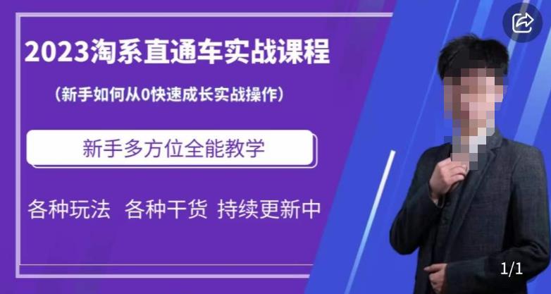2023淘系直通车保姆式运营讲解，新手如何从0快速成长实战操作，新手多方位全能教学-最全项目网