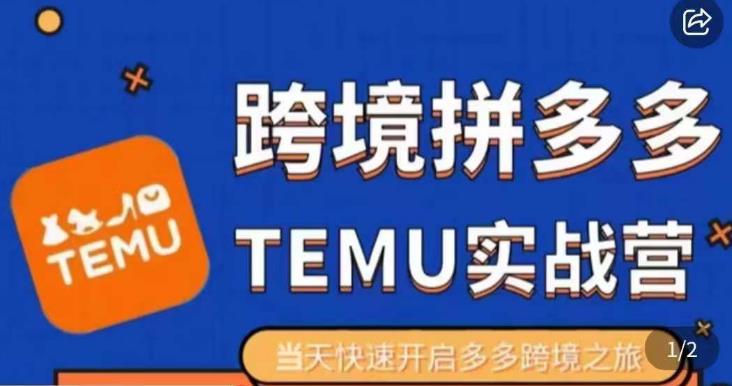 大鹏出海·拼多多跨境temu运营指导，开店注册+选品+核价上架，日出千单实战课-最全项目网