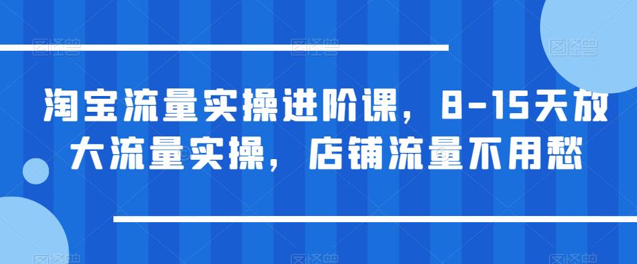 淘宝流量实操进阶课，8-15天放大流量实操，店铺流量不用愁-最全项目网