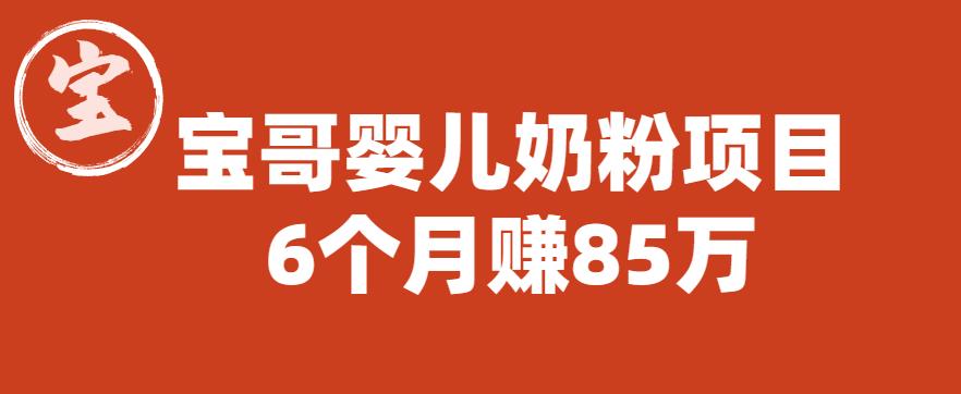 宝哥婴儿奶粉项目，6个月赚85w【图文非视频】【揭秘】-最全项目网