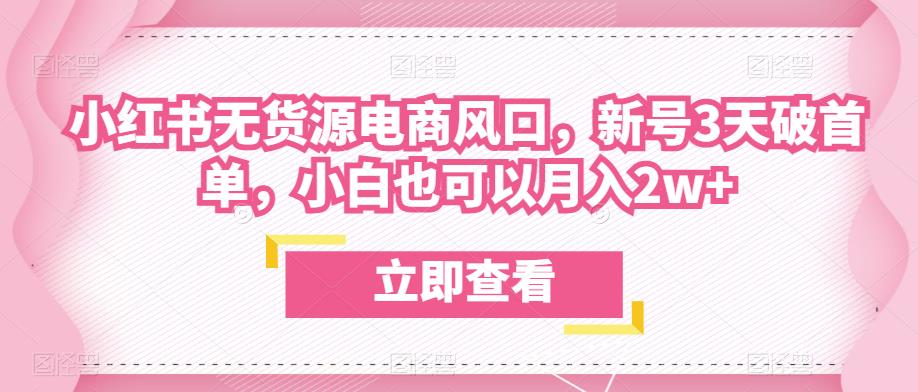 众狼电商余文小红书无货源电商风口，新号3天破首单，小白也可以月入2w+-最全项目网