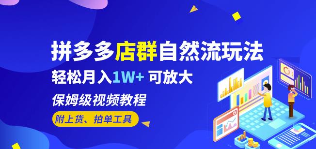 拼多多店群自然流玩法，轻松月入1W+保姆级视频教程（附上货、拍单工具）-最全项目网