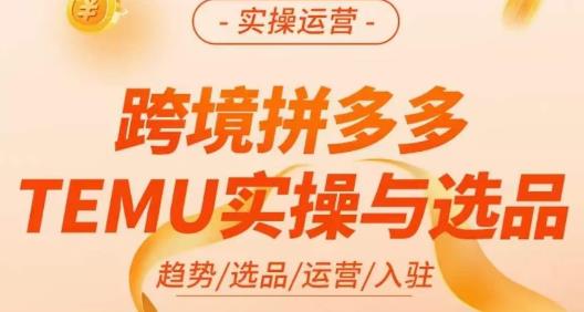 伍跃·跨境拼多多TEMU实操与选品，​趋势/选品/运营/入住（27节完整）-最全项目网