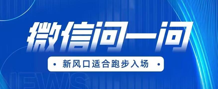 全网首发微信问一问新风口变现项目（价值1999元）【揭秘】-最全项目网