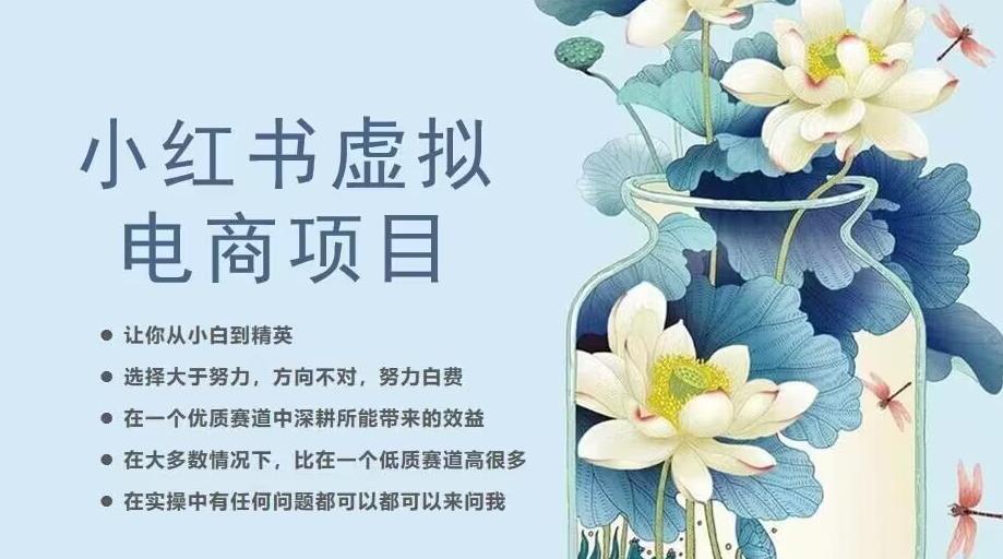 小红书虚拟电商从0到1，让你从小白到精英（20节实操课程）-最全项目网