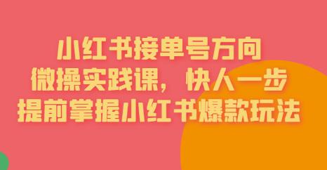 接单号方向·小红书微操实践课，快人一步，提前掌握小红书爆款玩法-最全项目网