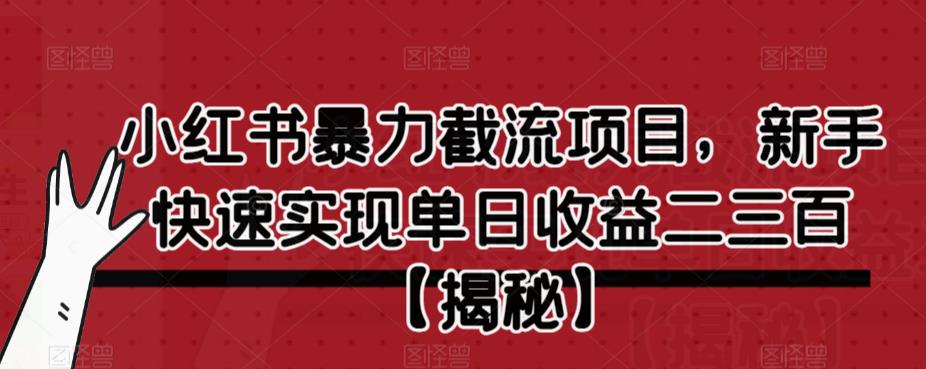 小红书暴力截流项目，新手快速实现单日收益二三百【仅揭秘】-最全项目网