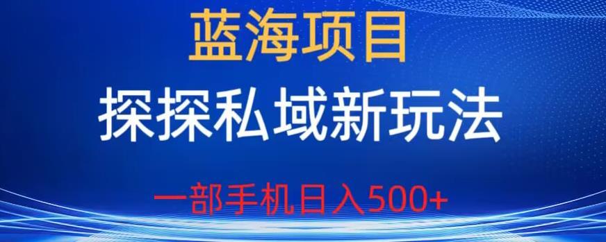 蓝海项目，探探私域新玩法，一部手机日入500+很轻松【揭秘】-最全项目网