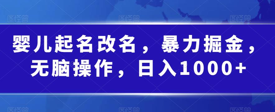 婴儿起名改名，暴力掘金，无脑操作，日入1000+【揭秘】-最全项目网