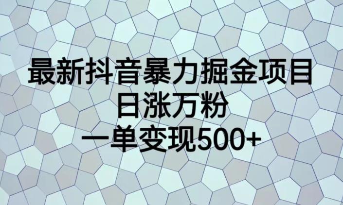 最新抖音暴力掘金项目，日涨万粉，一单变现500+【揭秘】-最全项目网