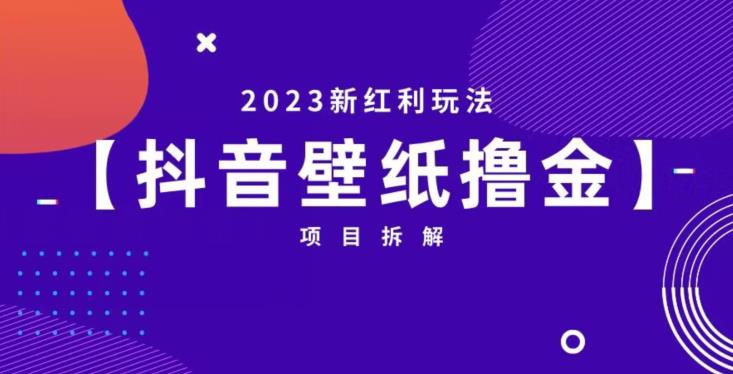 抖音壁纸小程序创作者撸金项目，2023新红利玩法【项目拆解】-最全项目网