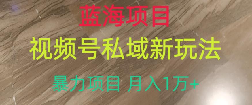 蓝海项目，视频号私域新玩法，暴力项目月入1万+【揭秘】-最全项目网