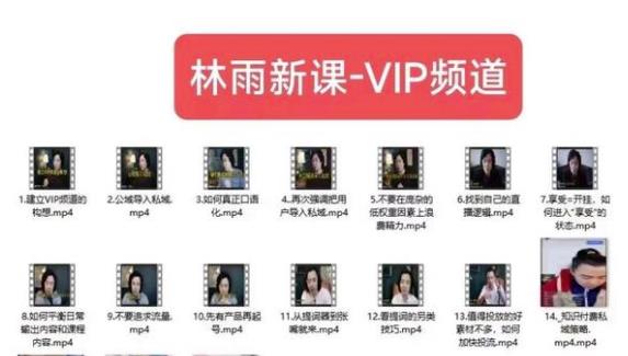 林雨新课VIP频道，玩赚私域/朋友圈/社群-最全项目网