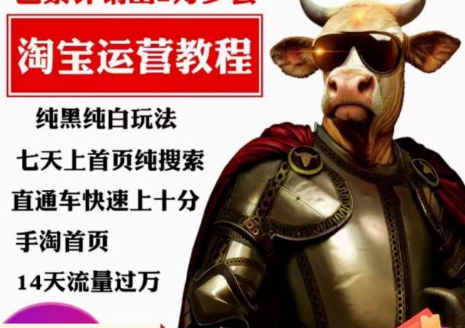 猫老师·淘系算法逆向解密，​纯黑纯白玩法，七天上首页纯搜索，手淘首页14天流量过万-最全项目网